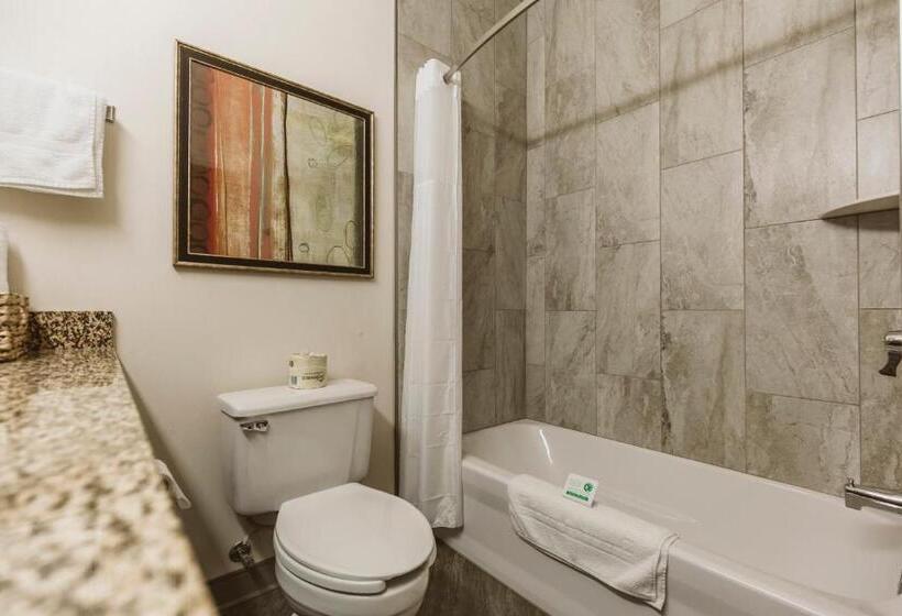 סוויטה, Everspring Suites