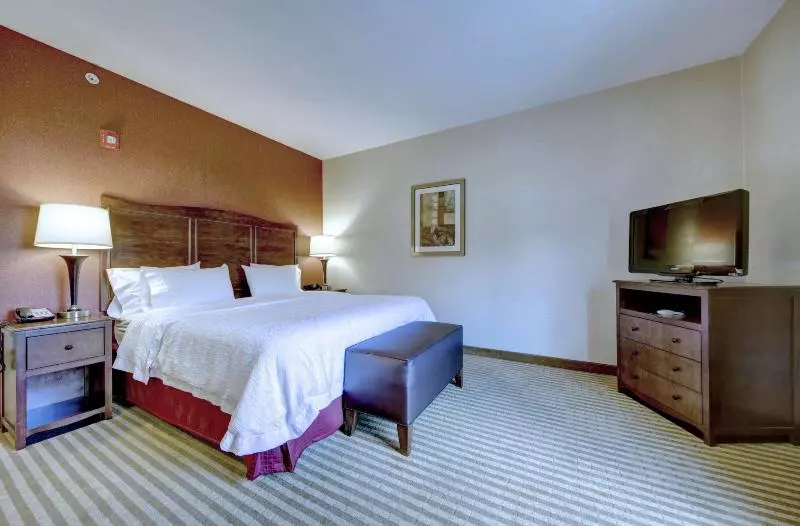 キングサイズベッドのスタンダードルーム, Hampton Inn & Suites Harrisburg/north
