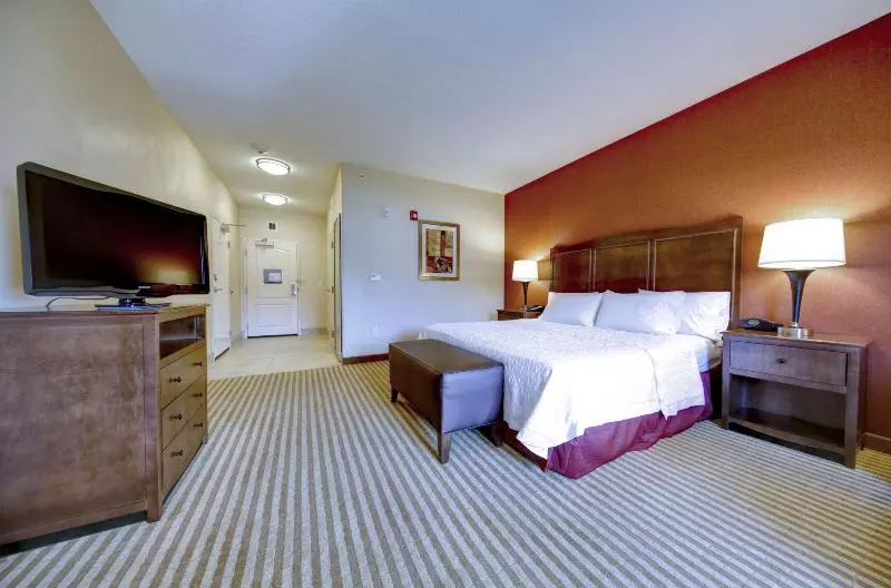 キングサイズベッドのスタンダードルーム, Hampton Inn & Suites Harrisburg/north