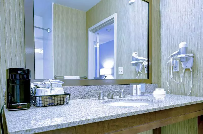 キングサイズベッドのスタンダードルーム, Hampton Inn & Suites Harrisburg/north