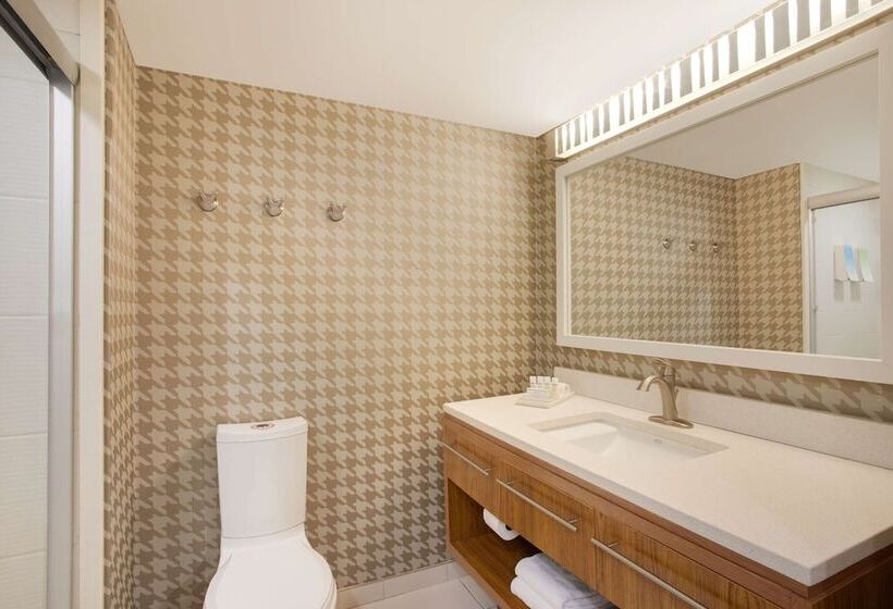 سوییت, Home2 Suites By Hilton Charlotte I 77 South, Nc