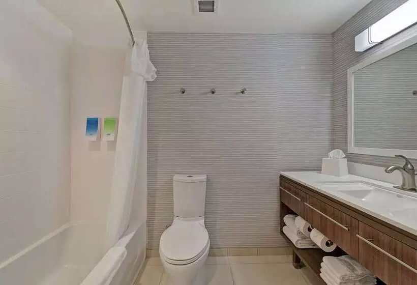 استودیوی استاندارد, Home2 Suites By Hilton Charlotte I 77 South, Nc