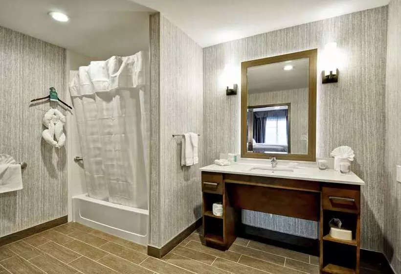 سوییت, Home2 Suites By Hilton Charlotte I 77 South, Nc