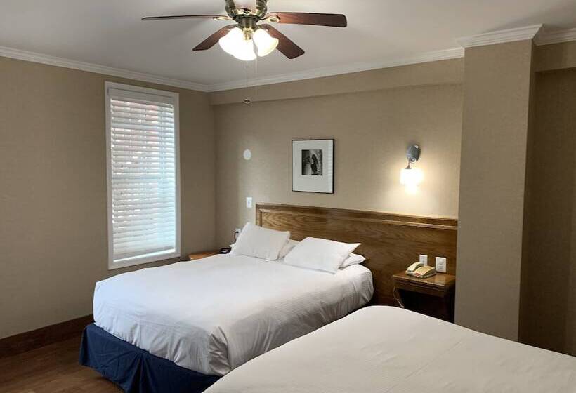 غرفة قياسية, The Baron