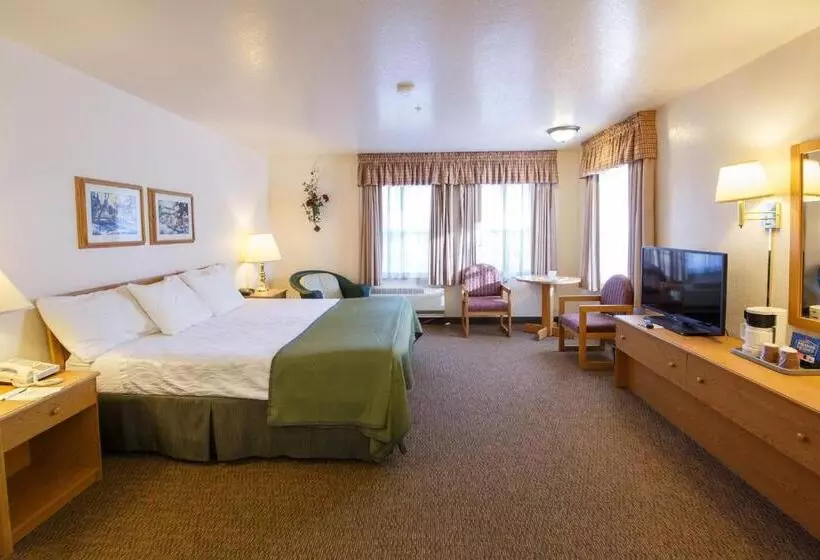سوئیت با تخت بزرگ, Murphys Inn Motel