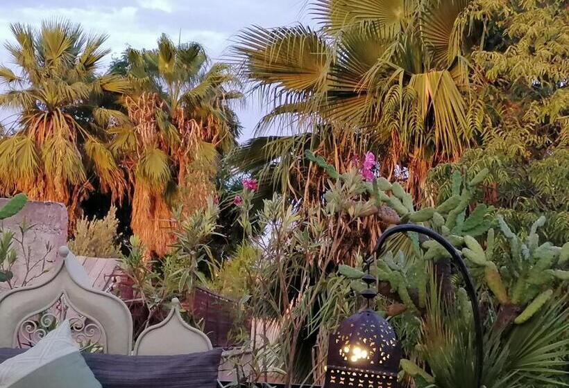 سوییت جونیور, Riad Swaka