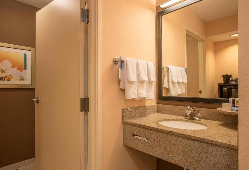 キングサイズベッドのスタンダードルーム, Fairfield Inn & Suites By Marriott Columbus