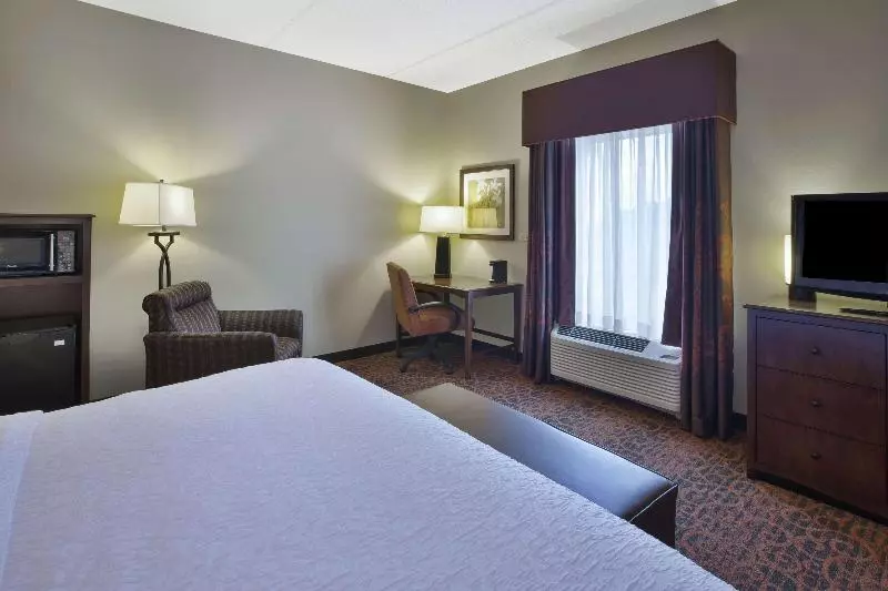 キングサイズベッドのスタンダードルーム, Hampton Inn Brockport, Ny