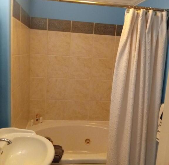 스탠다드 룸 킹사이즈 침대, All Seasons Groveland Inn