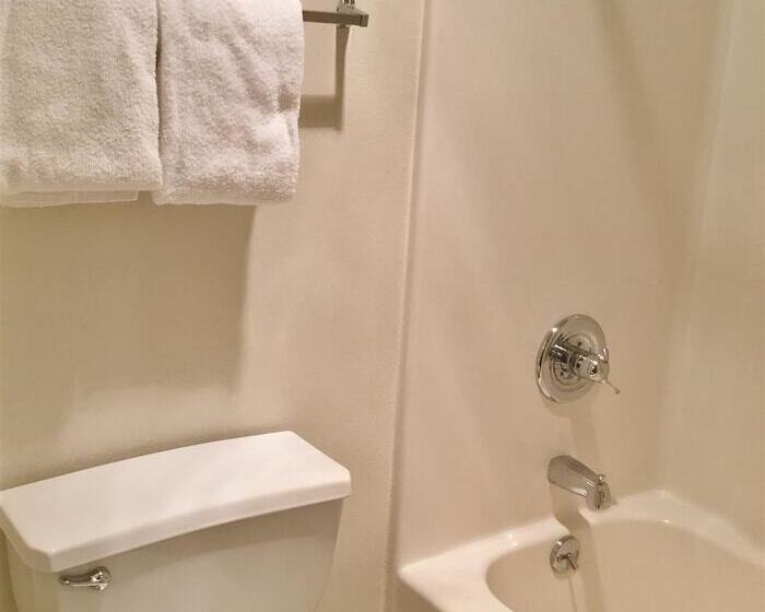 Номер Стандарт 2 Двуспальные Кровати, Amerihost Inn & Suites Fulton