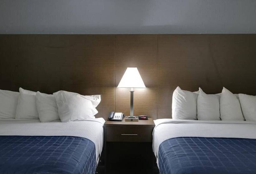 豪华房间, Baymont By Wyndham Ridgeland I95