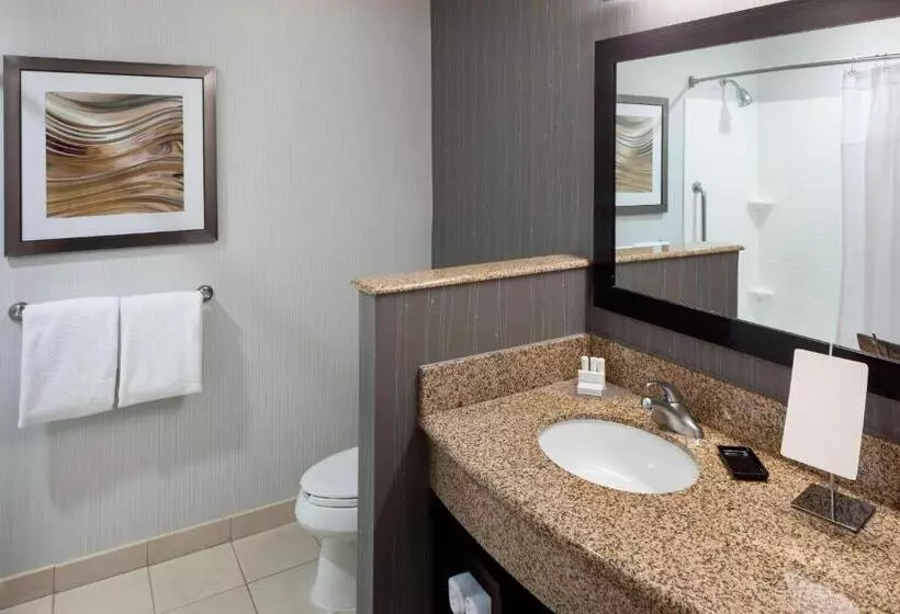 キングサイズベッドのスタンダードルーム, Courtyard By Marriott Franklin Cool Springs