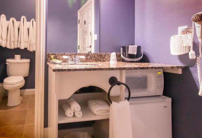스탠다드 룸, Depot Inn & Suites