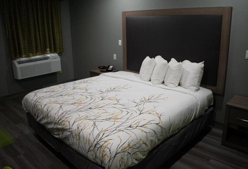 带大床的标准间, Fort Davis Inn & Rv Park