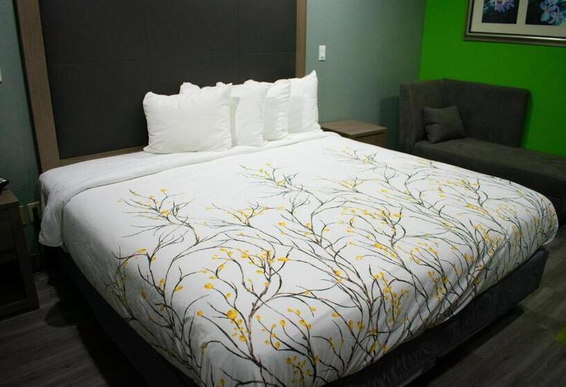 带大床的标准间, Fort Davis Inn & Rv Park