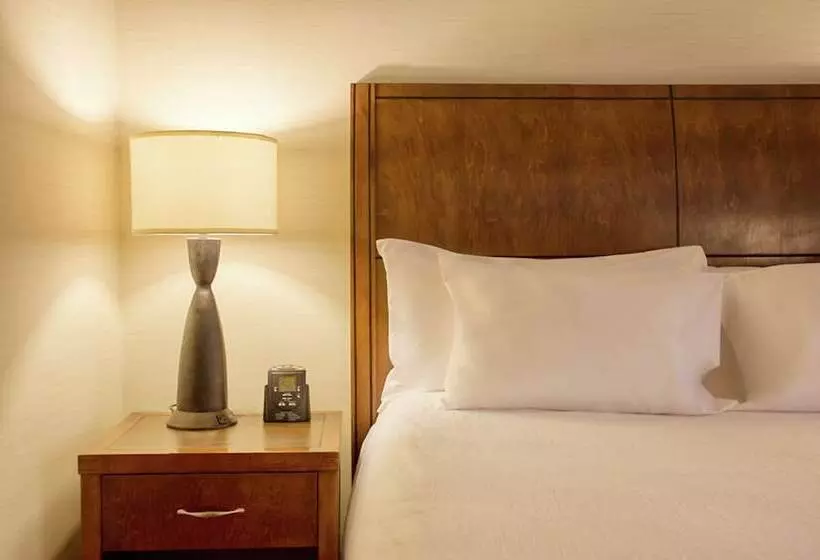 Standard-huone, Hilton Garden Inn Milwaukee Downtown