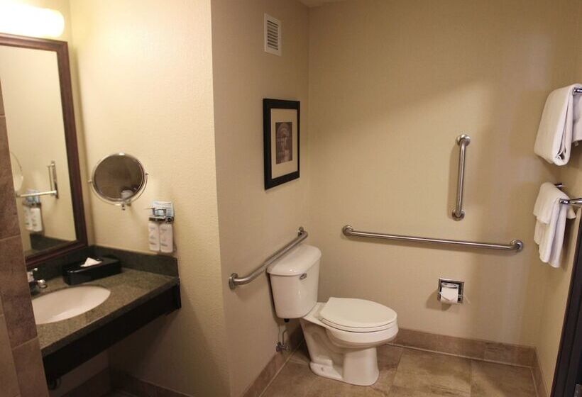 جناح لذوى الاحتياجات الخاصة, Holiday Inn Eau Claire South I 94, An Ihg