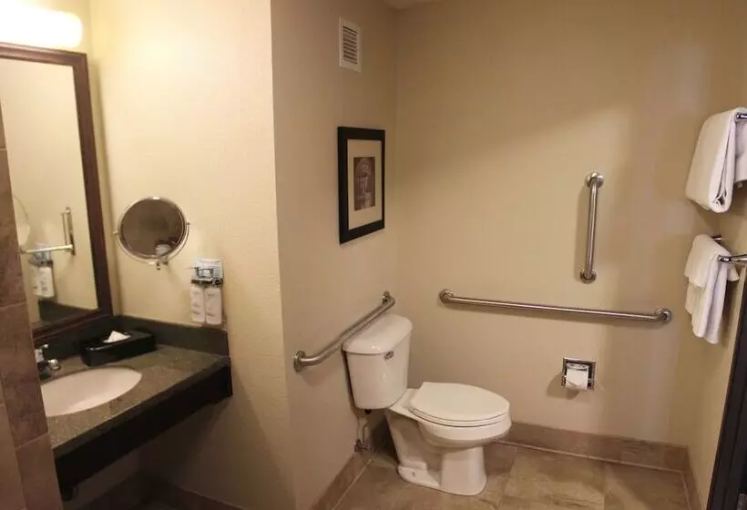 身障者適用スイートルーム, Holiday Inn Eau Claire South I 94, An Ihg