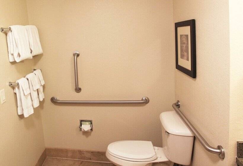 Люкс Адаптированный для Инвалидов, Holiday Inn Eau Claire South I 94, An Ihg