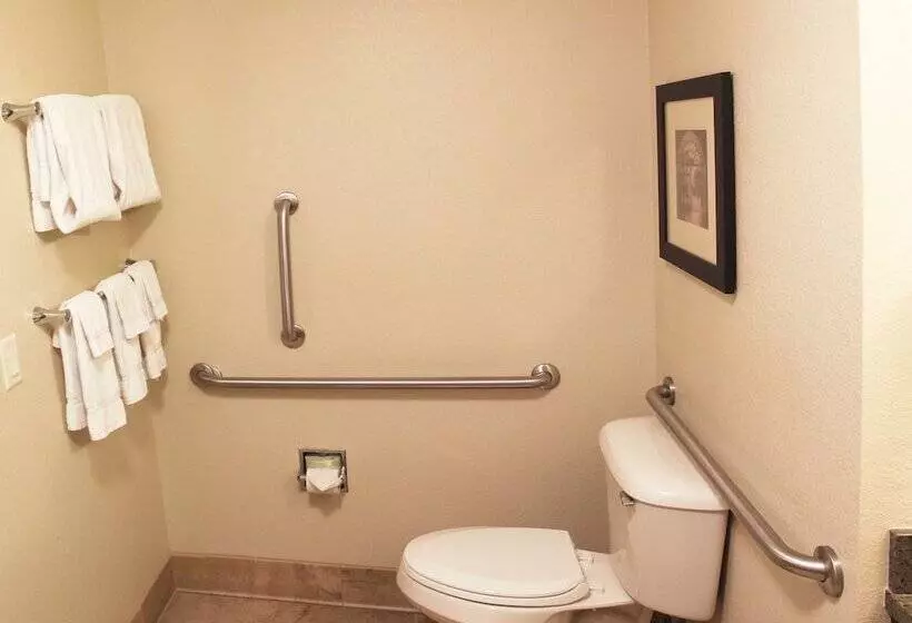身障者適用スイートルーム, Holiday Inn Eau Claire South I 94, An Ihg