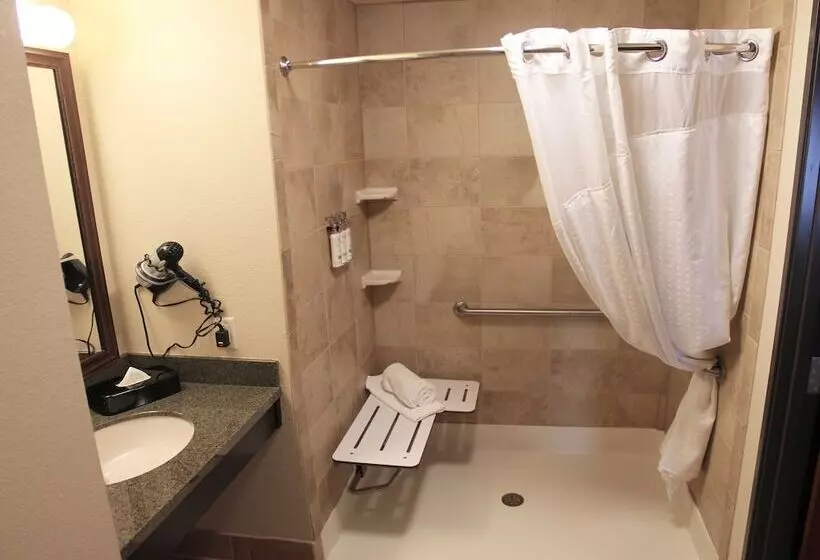 身障者適用スイートルーム, Holiday Inn Eau Claire South I 94, An Ihg