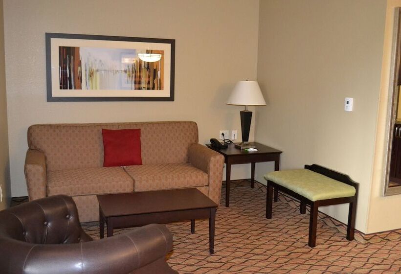Люкс Адаптированный для Инвалидов, Holiday Inn Eau Claire South I 94, An Ihg