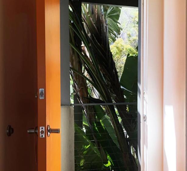 Номер Стандарт, The M Malibu