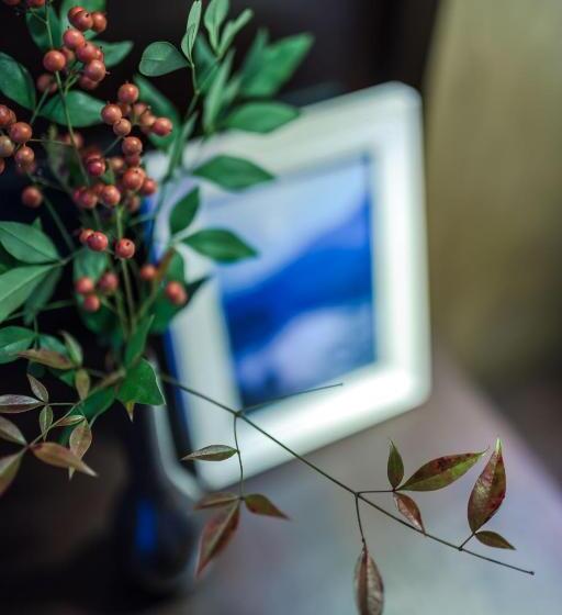 חדר סטנדרט נוף לאגם, Huangshan Demaotang