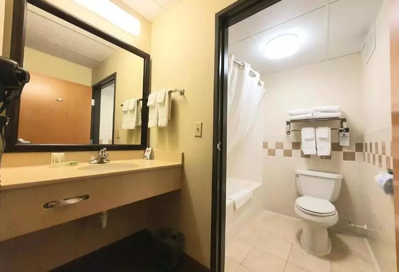 キングサイズベッドのスタンダードルーム, Amerivu Inn And Suites  Waconia