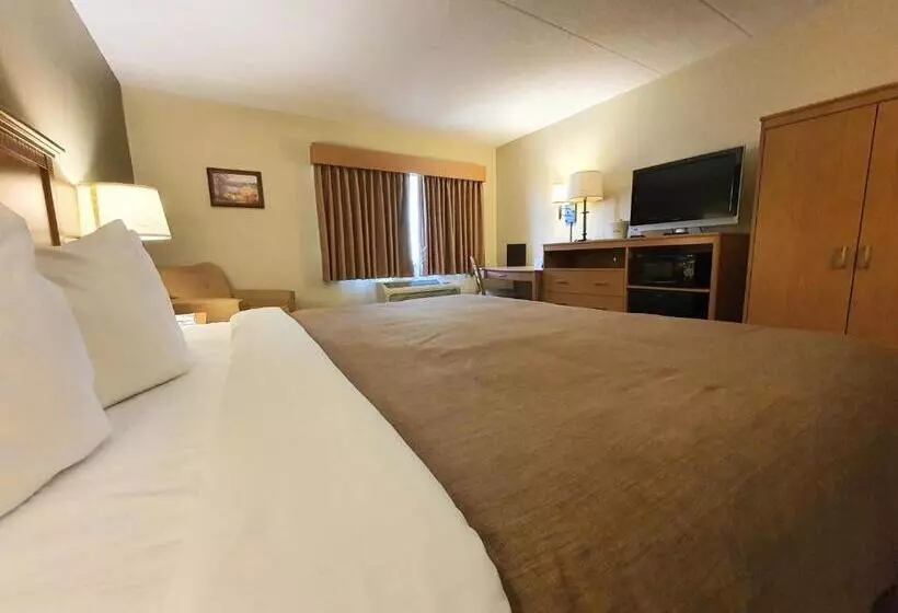 キングサイズベッドのスタンダードルーム, Amerivu Inn And Suites  Waconia