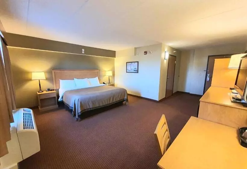 キングサイズベッドのスタンダードルーム, Amerivu Inn And Suites  Waconia
