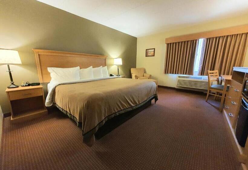 غرفة قياسية سرير كينج, Amerivu Inn And Suites  Waconia