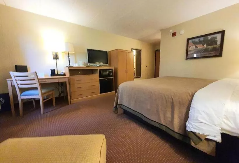 キングサイズベッドのスタンダードルーム, Amerivu Inn And Suites  Waconia