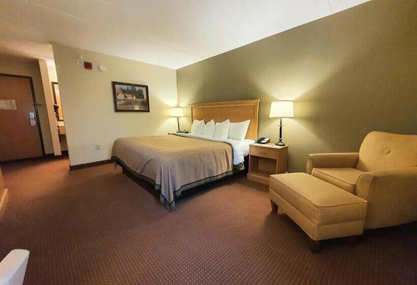 غرفة قياسية سرير كينج, Amerivu Inn And Suites  Waconia
