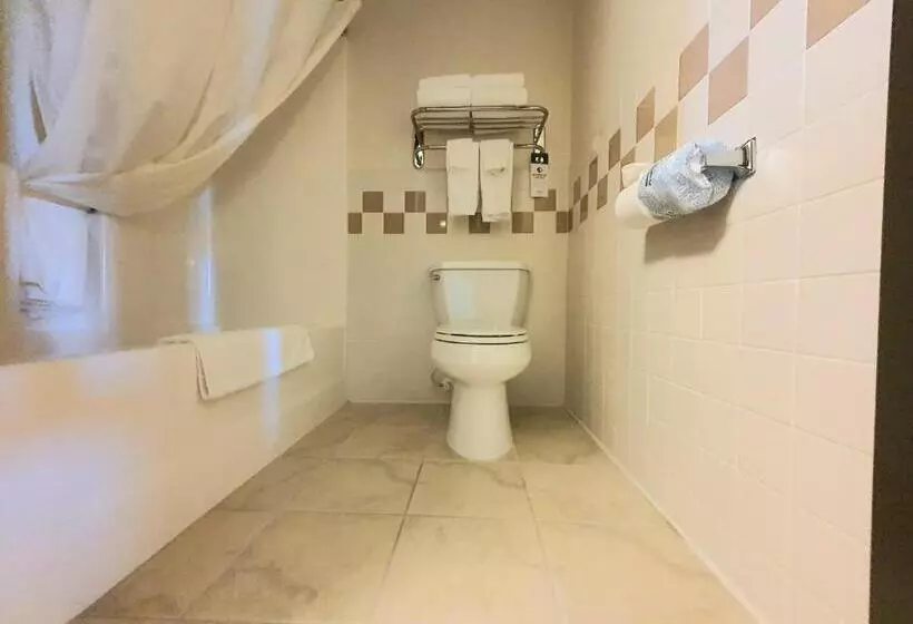 キングサイズベッドのスイートルーム, Amerivu Inn And Suites  Waconia