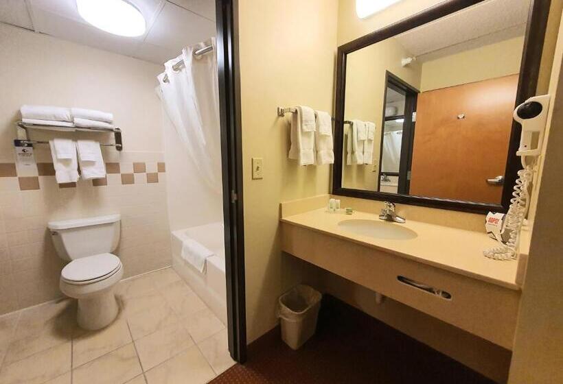 غرفة تنفيذية, Amerivu Inn And Suites  Waconia