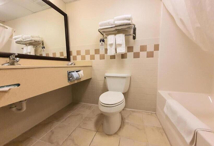 غرفة تنفيذية, Amerivu Inn And Suites  Waconia