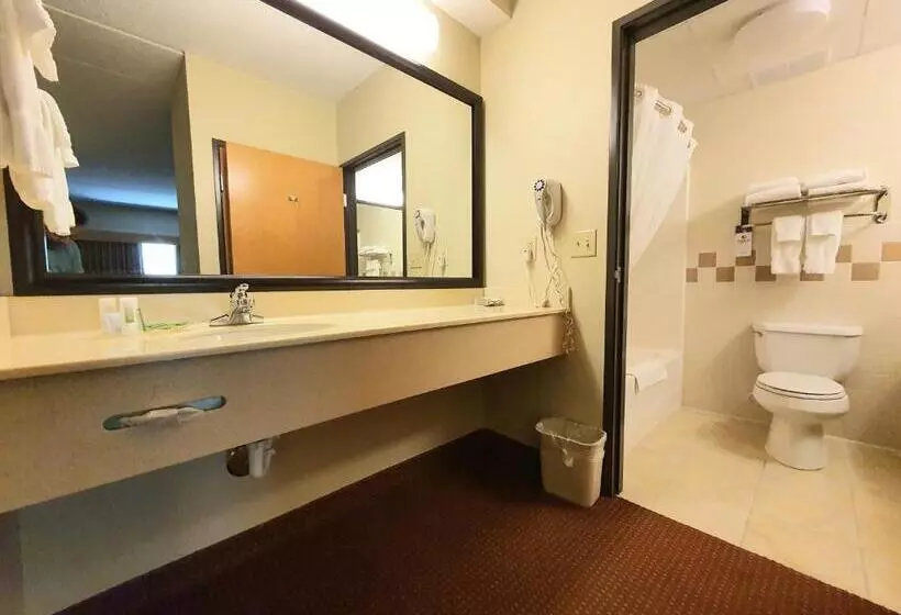 エクゼクティブスイート, Amerivu Inn And Suites  Waconia