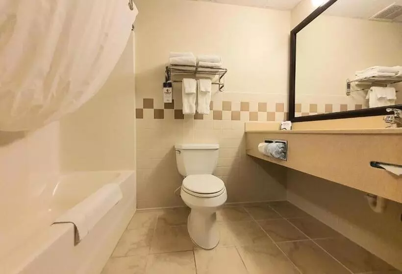 エクゼクティブスイート, Amerivu Inn And Suites  Waconia