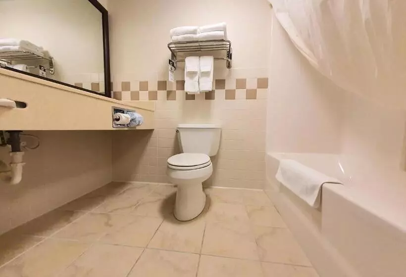 キングサイズベッドのデラックススイート, Amerivu Inn And Suites  Waconia