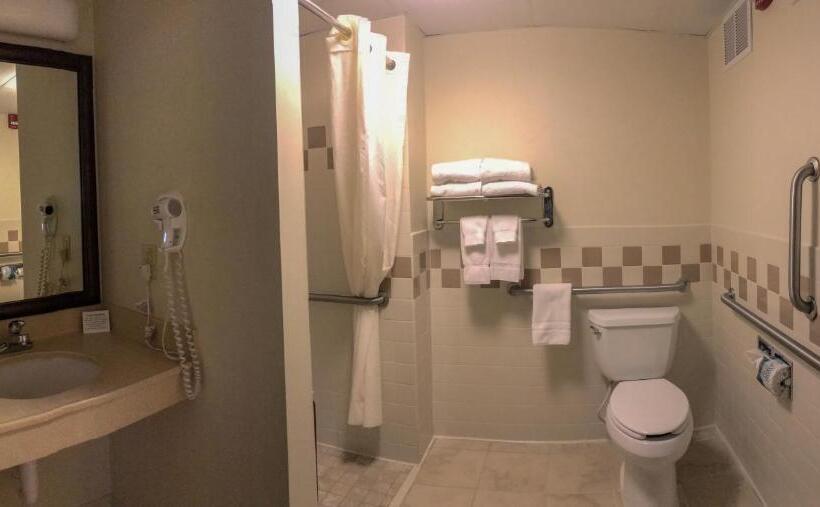 غرفة قياسية سرير ملكى لذوى الإحتياجات الخاصة, Amerivu Inn And Suites  Waconia