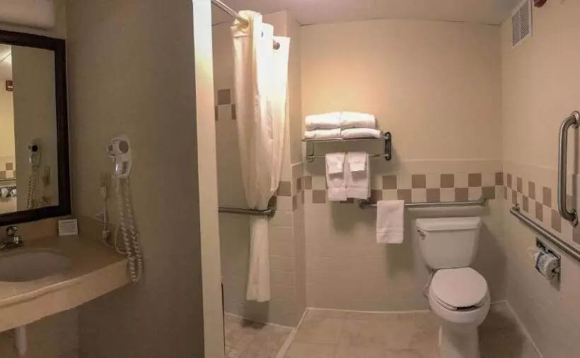 身障者適用クイーンサイズベッドルーム, Amerivu Inn And Suites  Waconia