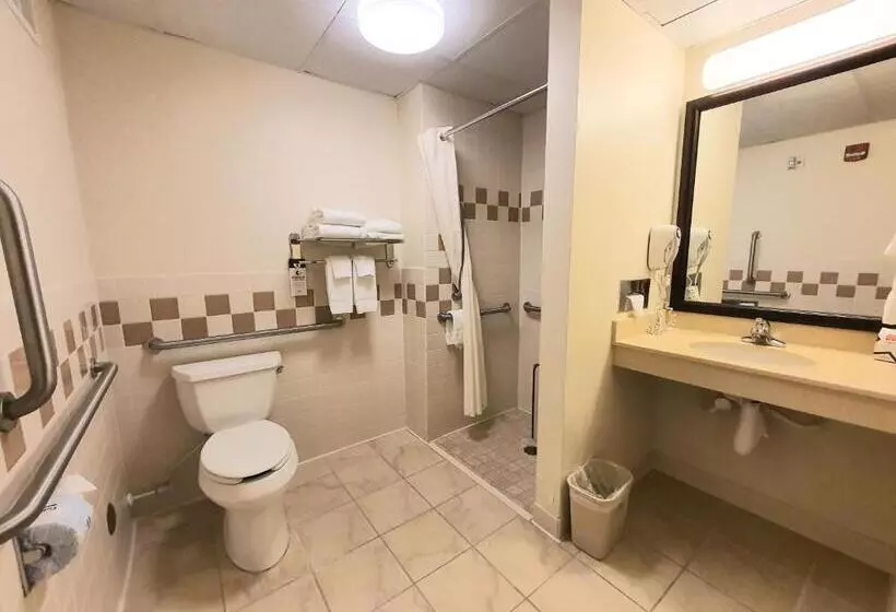 身障者適用クイーンサイズベッドルーム, Amerivu Inn And Suites  Waconia