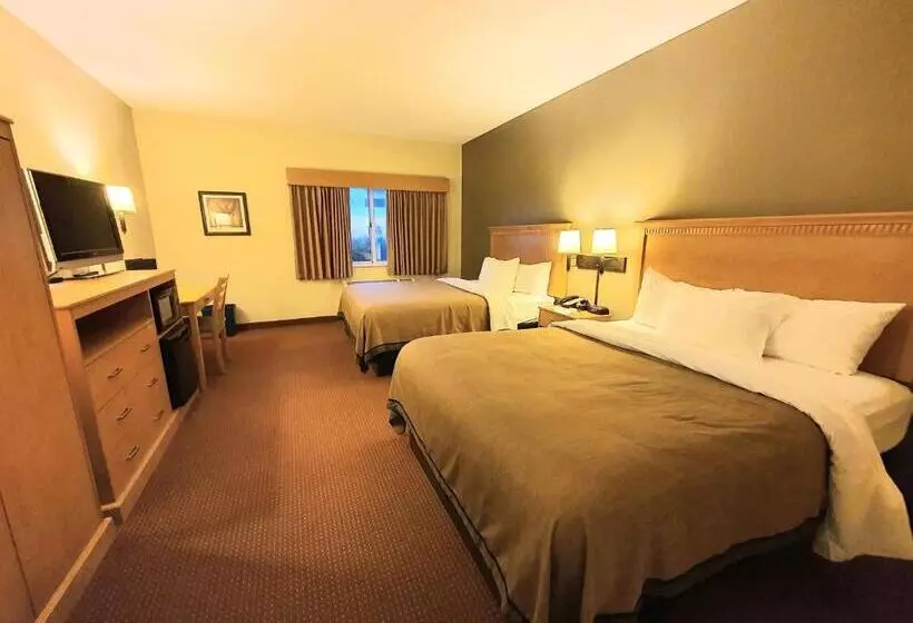 身障者適用クイーンサイズベッドルーム, Amerivu Inn And Suites  Waconia