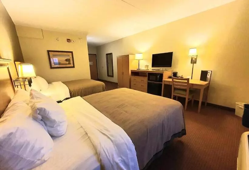 身障者適用クイーンサイズベッドルーム, Amerivu Inn And Suites  Waconia