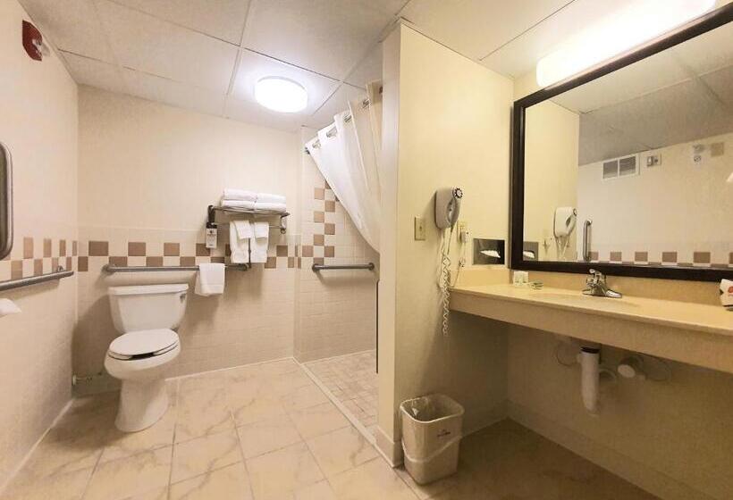 غرفة قياسية سرير كينج لذوى الإحتياجات الخاصة, Amerivu Inn And Suites  Waconia