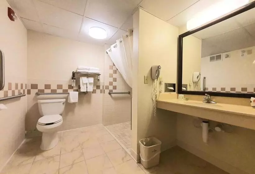 身障者適用キングサイズベッドルーム, Amerivu Inn And Suites  Waconia