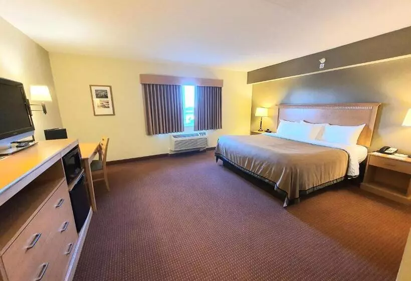 身障者適用キングサイズベッドルーム, Amerivu Inn And Suites  Waconia