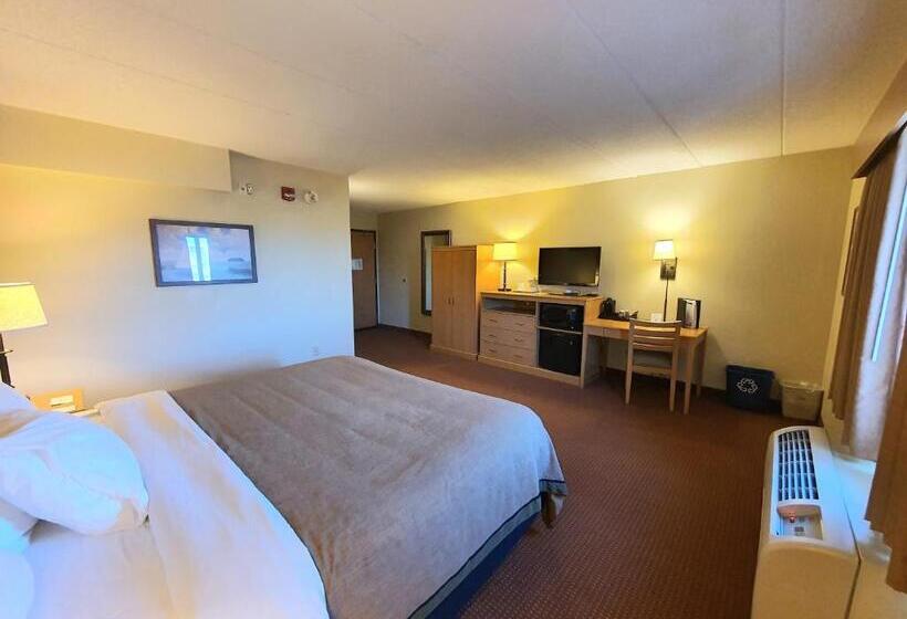 غرفة قياسية سرير كينج لذوى الإحتياجات الخاصة, Amerivu Inn And Suites  Waconia