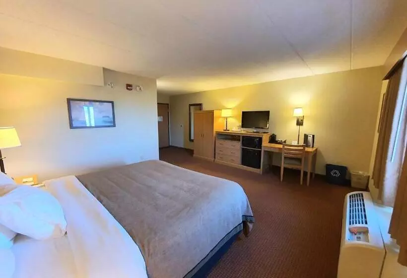 身障者適用キングサイズベッドルーム, Amerivu Inn And Suites  Waconia